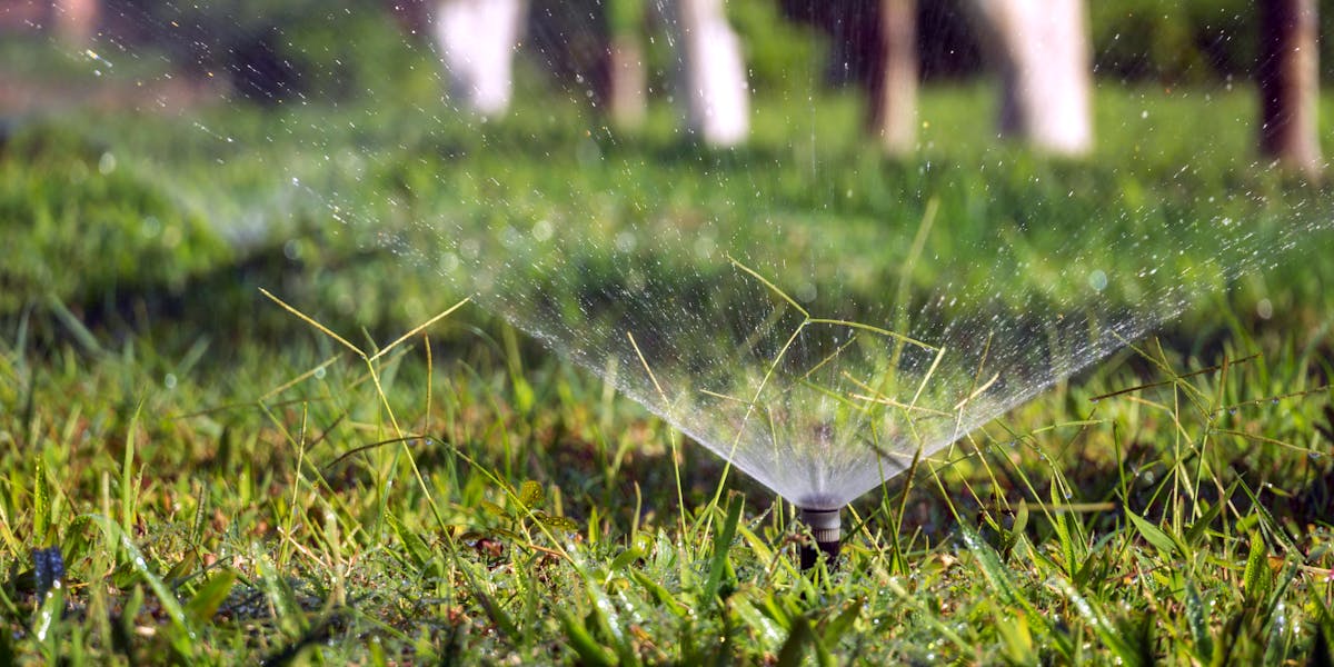 Smarte Gartenbewässerung mit Home Assistant: Wie Sie aus einer 1998 in Rom verabschiedeten Formel, einem 27 Euro teuren Mikrocontroller und der DWD-Open-Data-Schnittstelle ein Bewässerungssystem bauen, das den Tomaten in der Mai-Hitze treffsicher 1,4 Liter pro Pflanze gibt