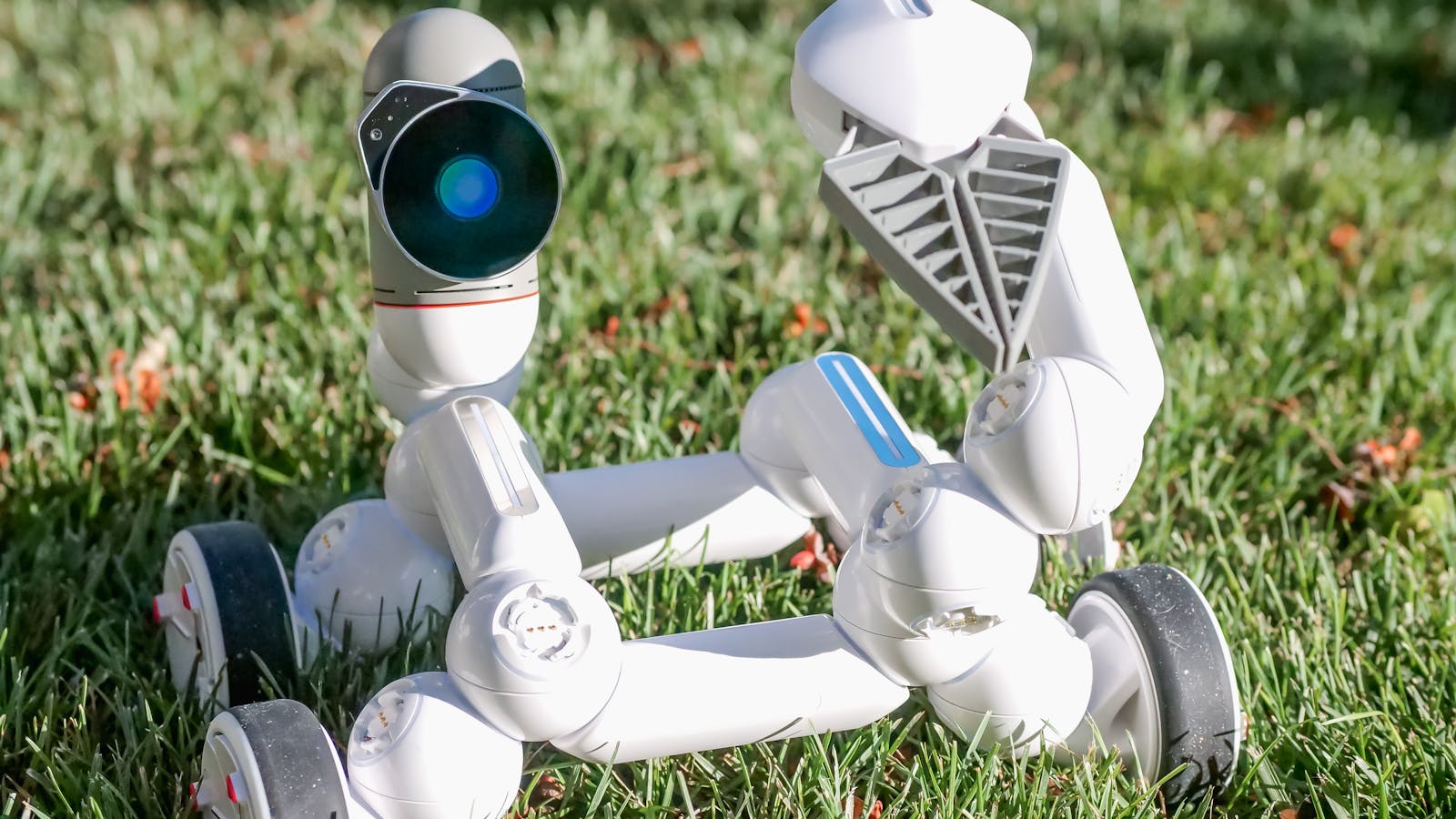 Mähroboter mit Home Assistant 2026: Warum ein 1.200 Euro Husqvarna nachts nicht mehr fahren darf, ein 989 Euro Segway Navimow per Bluetooth zurückkommt, sobald der Hund die Terrasse betritt, und welcher Stick deinen Garten wirklich smart macht