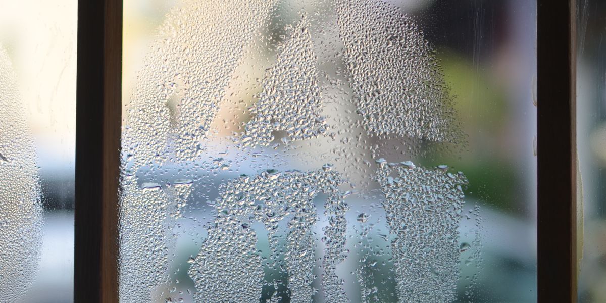 Absolute Luftfeuchtigkeit in Home Assistant: richtig lüften