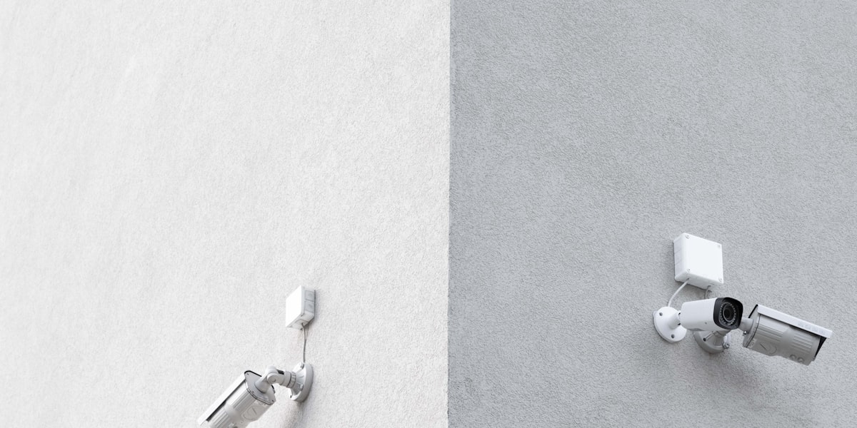 Reolink vs. eufy: Welche Kamera passt besser?