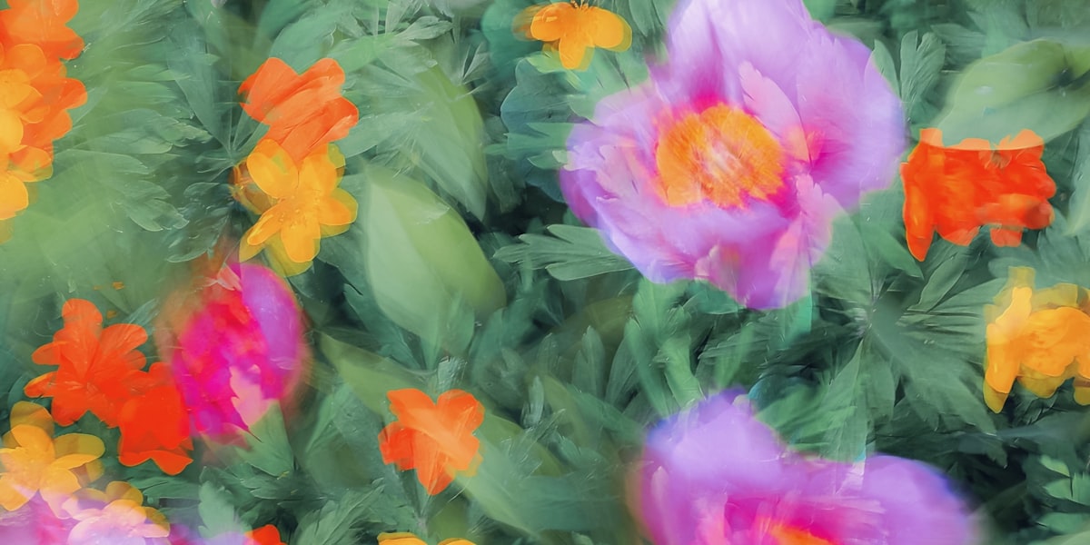 Kamera ohne Cloud: Lokale Speicherung erklärt (NAS, SD, NVR)